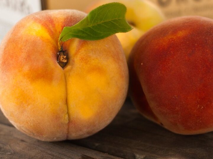 Contender Peach: ripe fruit