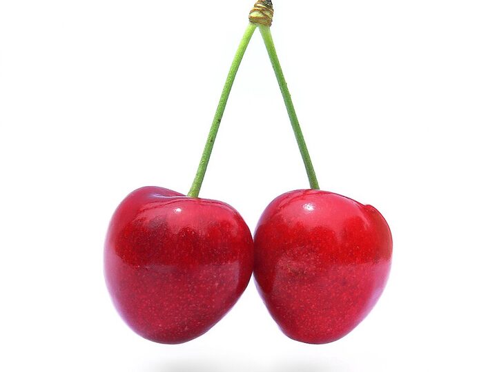 Stella Dwarf Cherry: fruit